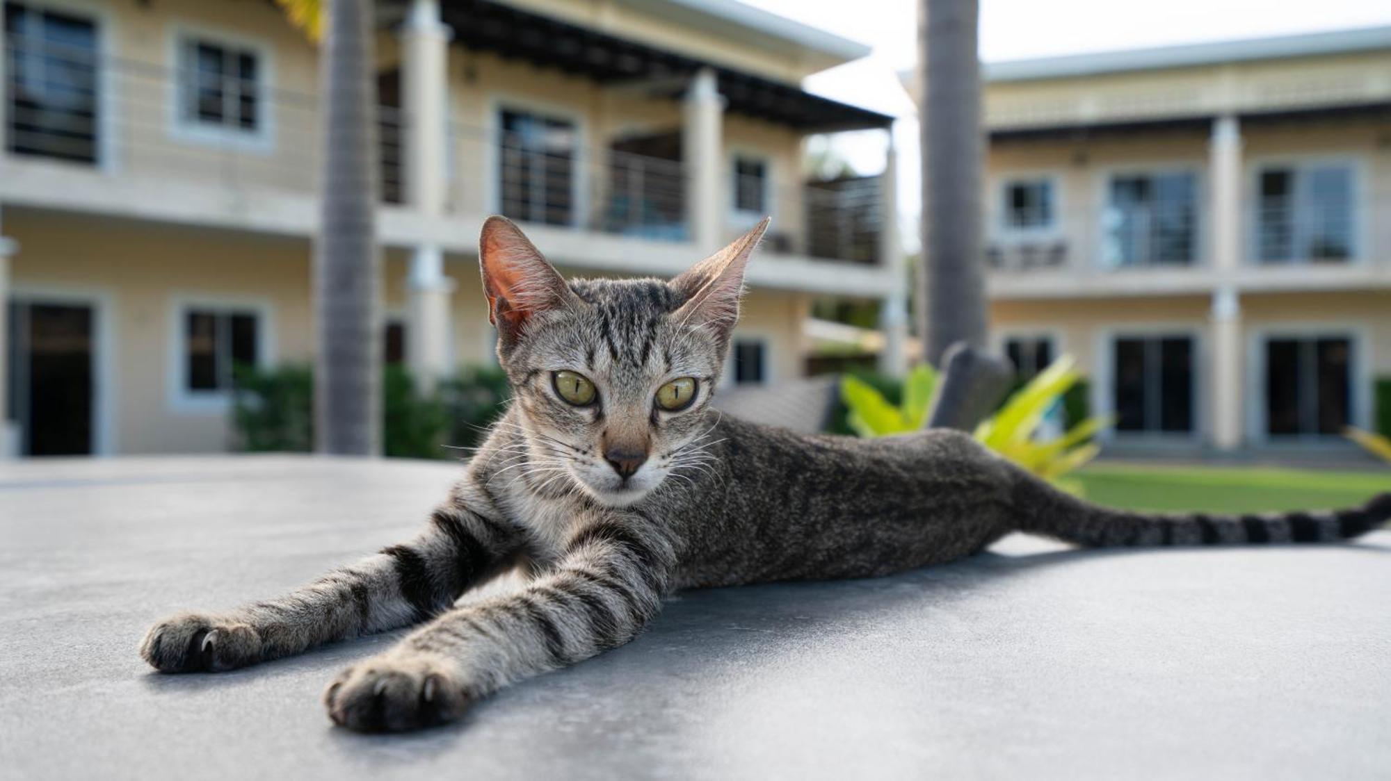 Malinawon Resort 馬莉吶灣度假中心 Panglao Buitenkant foto